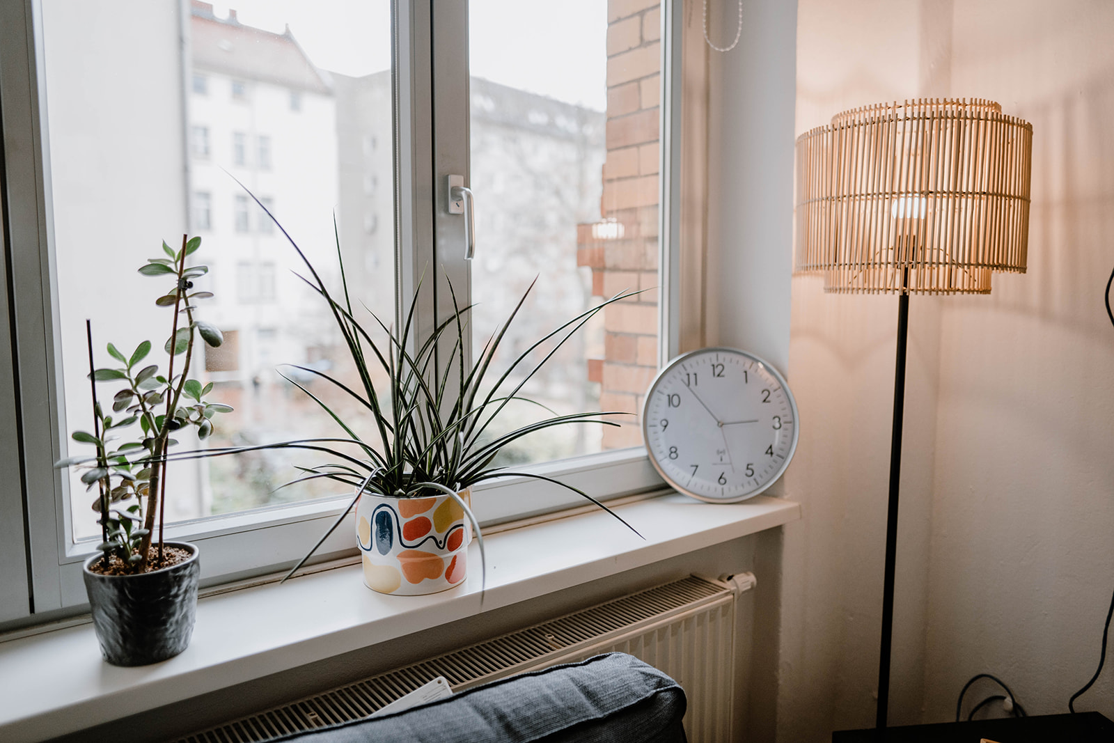 Pflanzen am Fenster mit Stehlampe
