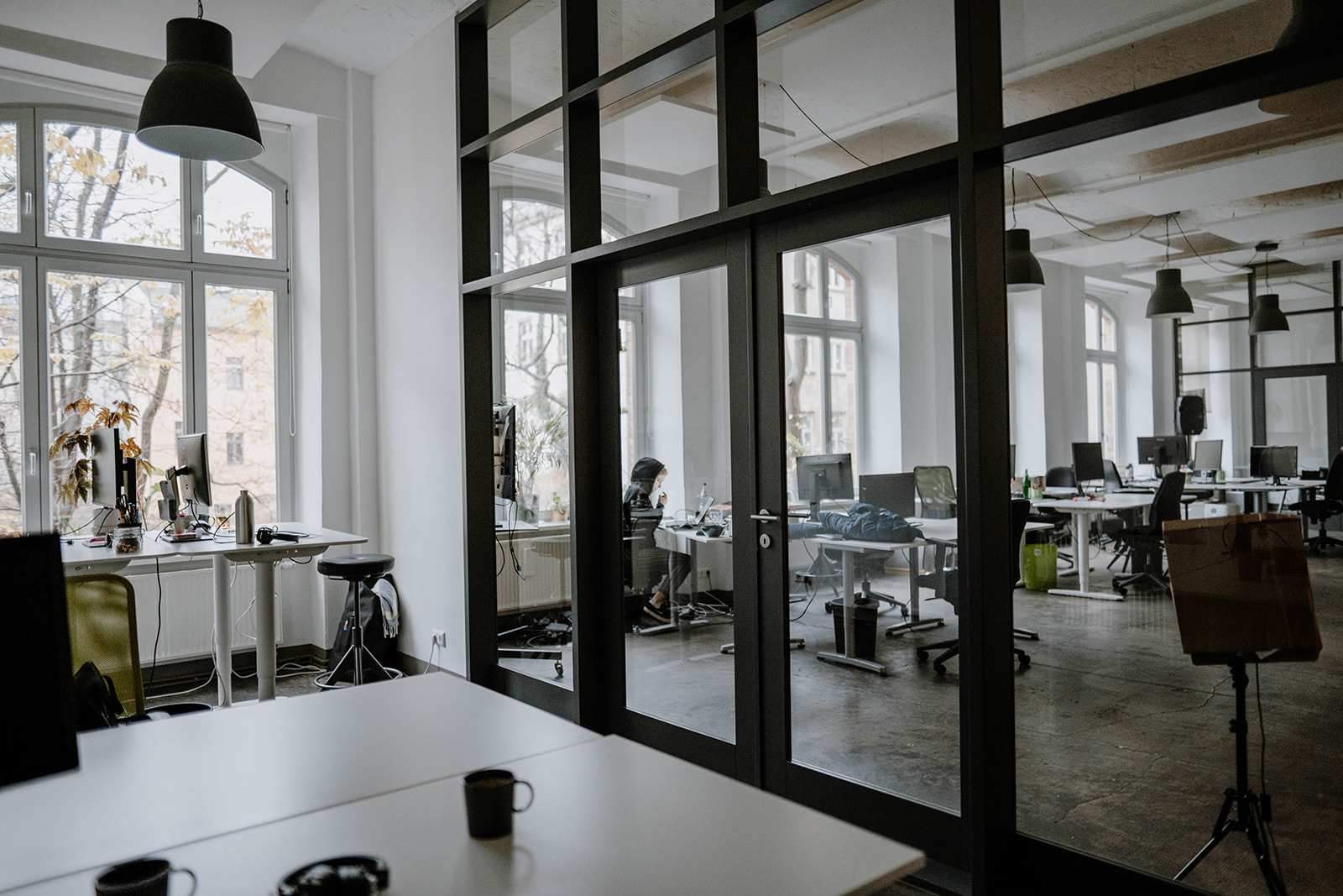 Hunderaum mit Hundebett